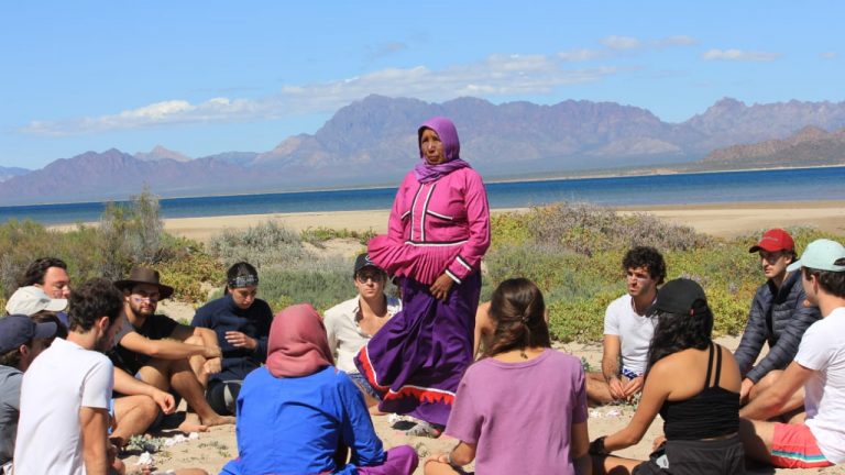 Isla Tiburón — cultura Comcaac